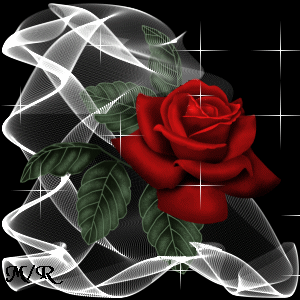 kelle belle rose